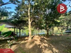 ขายบ้านสวนพร้อมที่ดิน เนื้อที่ 4 ไร่ 1 งาน 20 ตารางวา ท่ายาง เพชรบุรี-202511191505331763539533195.jpg