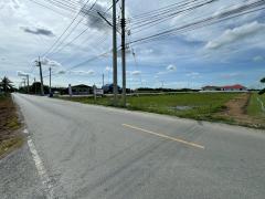 วิราภรณ์ นราภิรมย์ ที่ดินแบ่งขาย ทำเลทอง นราภิรมย์ บางเลน นครปฐม-202511191521371763540497008.jpg