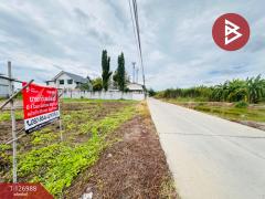 ขายที่ดินถมแล้ว เนื้อที่ 1 ไร่ ซอยไร่ขิง 16 สามพราน นครปฐม-202511191528411763540921576.jpg