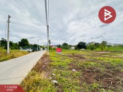 ขายที่ดินถมแล้ว เนื้อที่ 1 ไร่ ซอยไร่ขิง 16 สามพราน นครปฐม-202511191528421763540922125.jpg