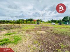 ขายที่ดินถมแล้ว เนื้อที่ 1 ไร่ ซอยไร่ขิง 16 สามพราน นครปฐม-202511191528421763540922668.jpg