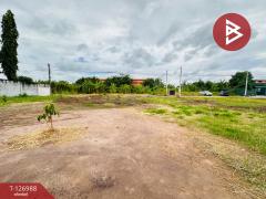 ขายที่ดินถมแล้ว เนื้อที่ 1 ไร่ ซอยไร่ขิง 16 สามพราน นครปฐม-202511191528431763540923223.jpg