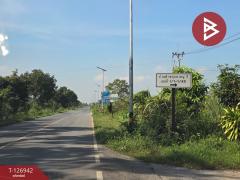 ขายทาวน์เฮ้าส์ชั้นเดียว เนื้อที่ 17.2 สระกะเทียม นครปฐม-202511191639031763545143109.jpg