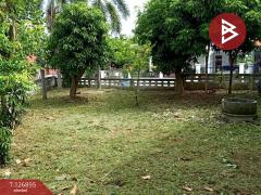  ขายบ้านเดี่ยว หมู่บ้านราชนุช9 สัตหีบ ชลบุรี-202511191645481763545548486.jpg