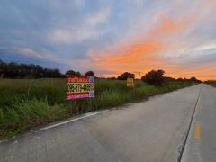 ขายถูกที่ดินเทศบาลหนองเสือ 5 ไร่ ติดถนนคอนกรีตสาธารณะ หน้ากว้าง 170 ม. ซ.เทศบาล 12 จ.ปทุมธานี