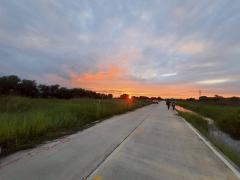 ขายถูกที่ดินเทศบาลหนองเสือ 5 ไร่ ติดถนนคอนกรีตสาธารณะ หน้ากว้าง 170 ม. ซ.เทศบาล 12 จ.ปทุมธานี-202511191649411763545781677.jpg