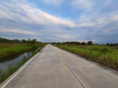 ขายถูกที่ดินเทศบาลหนองเสือ 5 ไร่ ติดถนนคอนกรีตสาธารณะ หน้ากว้าง 170 ม. ซ.เทศบาล 12 จ.ปทุมธานี-202511191649421763545782803.jpg