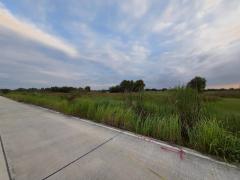 ขายถูกที่ดินเทศบาลหนองเสือ 5 ไร่ ติดถนนคอนกรีตสาธารณะ หน้ากว้าง 170 ม. ซ.เทศบาล 12 จ.ปทุมธานี-202511191649431763545783340.jpg