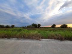 ขายถูกที่ดินเทศบาลหนองเสือ 5 ไร่ ติดถนนคอนกรีตสาธารณะ หน้ากว้าง 170 ม. ซ.เทศบาล 12 จ.ปทุมธานี-202511191649441763545784062.jpg