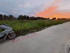 ขายถูกที่ดินเทศบาลหนองเสือ 5 ไร่ ติดถนนคอนกรีตสาธารณะ หน้ากว้าง 170 ม. ซ.เทศบาล 12 จ.ปทุมธานี-202511191649441763545784595.jpg