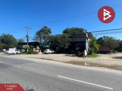 ขายที่ดิน เนื้อที่ 200 ตารางวา หัวรอ พิษณุโลก-202511191650201763545820426.jpg