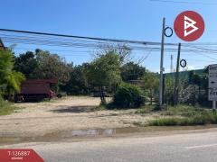 ขายที่ดิน เนื้อที่ 200 ตารางวา หัวรอ พิษณุโลก-202511191650221763545822875.jpg