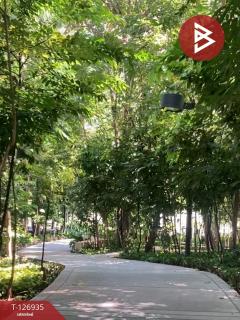 ขายคอนโด ยูดีไลท์ รัชวิภา จตุจักร กรุงเทพมหานคร (U Delight Ratchavibha)-202511191656081763546168381.jpg