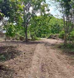 ขายที่ดินแปลงใหญ่ ผังเหลือง อ.สันกำแพง จ.เชียงใหม่