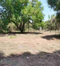 ขายที่ดินแปลงใหญ่ ผังเหลือง อ.สันกำแพง จ.เชียงใหม่-202511191753081763549588551.jpg