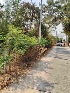 ขายที่ดินแปลงใหญ่ ผังเหลือง อ.สันกำแพง จ.เชียงใหม่-202511191753311763549611254.jpg