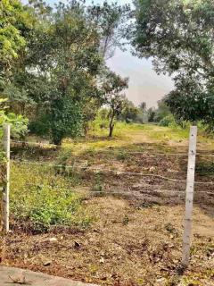 ขายที่ดินแปลงใหญ่ ผังเหลือง อ.สันกำแพง จ.เชียงใหม่-202511191753351763549615893.jpg