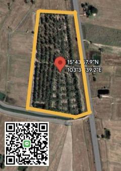 ขายถูกมาก!! ที่ดินติดถนนใหญ่ 18-2-56 ไร่ ทำเลดี อ.เกษตรวิสัย จ.ร้อยเอ็ด ใกล้อ.จตุรพัตร์พิมาน และใกล้อ.เมืองร้อยเอ็ด