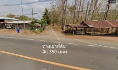 แชร์ ขาย|มือหนึ่ง ขายที่ดิน 40 ไร่ ต.ตะกุดไร อ.ชนแดน ไร่ละ 85,000 บาท-202511192044081763559848690.jpg