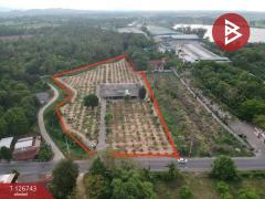 ขายที่ดินพร้อมสิ่งปลูกสร้าง-เนื้อท