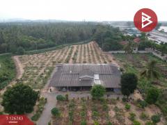 ขายที่ดินพร้อมสิ่งปลูกสร้าง เนื้อที่ 7 ไร่ 83.5 ตร.วา บ้านโป่ง ราชบุรี-202511192141341763563294424.jpg