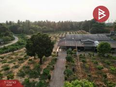 ขายที่ดินพร้อมสิ่งปลูกสร้าง เนื้อที่ 7 ไร่ 83.5 ตร.วา บ้านโป่ง ราชบุรี-202511192141351763563295390.jpg