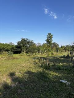  ⭐️ ที่ดินติดถนน ขายด่วน! 7 ไร่ 57 ตรว. อ.บ้านโป่ง ราชบุรี | เจ้าของขายเอง ⭐️-202511192155431763564143633.jpg