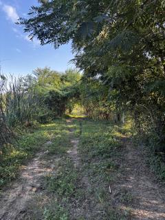  ⭐️ ที่ดินติดถนน ขายด่วน! 7 ไร่ 57 ตรว. อ.บ้านโป่ง ราชบุรี | เจ้าของขายเอง ⭐️-202511192155441763564144259.jpg