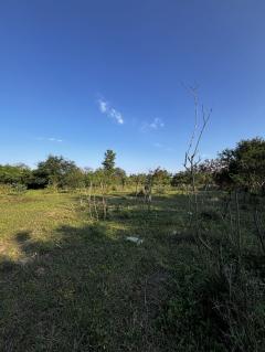  ⭐️ ที่ดินติดถนน ขายด่วน! 7 ไร่ 57 ตรว. อ.บ้านโป่ง ราชบุรี | เจ้าของขายเอง ⭐️-202511192155441763564144904.jpg