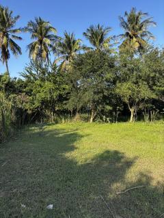  ⭐️ ที่ดินติดถนน ขายด่วน! 7 ไร่ 57 ตรว. อ.บ้านโป่ง ราชบุรี | เจ้าของขายเอง ⭐️-202511192155451763564145515.jpg