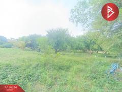 ขายที่ดินเปล่า เนื้อที่ 9 ไร่ โพธาราม ราชบุรี สวยวิวภูเขา-202511192158061763564286386.jpg