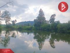 ขายที่ดินเปล่า เนื้อที่ 9 ไร่ โพธาราม ราชบุรี สวยวิวภูเขา-202511192158061763564286890.jpg