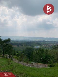 ขาย/เช่า ที่ดิน เนื้อที่ 3 งาน 41 ตร.วา เขาค้อ เพชรบูรณ์