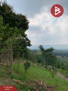 ขาย/เช่า ที่ดิน เนื้อที่ 3 งาน 41 ตร.วา เขาค้อ เพชรบูรณ์-202511192216081763565368488.jpg