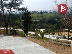 ขาย/เช่า ที่ดิน เนื้อที่ 3 งาน 41 ตร.วา เขาค้อ เพชรบูรณ์-202511192216091763565369028.jpg