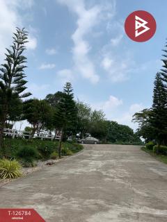 ขาย/เช่า ที่ดิน เนื้อที่ 3 งาน 41 ตร.วา เขาค้อ เพชรบูรณ์-202511192216091763565369572.jpg