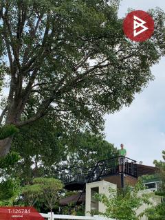 ขาย/เช่า ที่ดิน เนื้อที่ 3 งาน 41 ตร.วา เขาค้อ เพชรบูรณ์-202511192216101763565370644.jpg