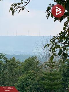 ขาย/เช่า ที่ดิน เนื้อที่ 3 งาน 41 ตร.วา เขาค้อ เพชรบูรณ์-202511192216111763565371721.jpg