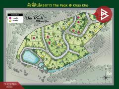 ขาย/เช่า ที่ดิน เนื้อที่ 3 งาน 41 ตร.วา เขาค้อ เพชรบูรณ์-202511192216121763565372260.jpg