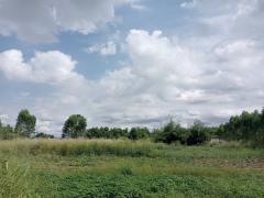 ขายที่ดินศรีราชา ชลบุรี 16 ไร่ 1งาน ใกล้ท่าเรือแหลมฉบัง เพียง 12 กม. เหมาะทำ ลานวางตู้สินค้าคอนเทนเนอร์ โกดัง คลังสินค้า-202511200035171763573717366.jpg