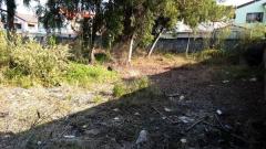 ขาย ที่ดิน 1 ไร่ 80 ตารางวา ติดทางด่วนมอเตอร์เวย์ สาย 7 ซอยชัยพรวิถี 15 หนองปรือ บางละมุง ชลบุรี-202511200940471763606447210.jpg