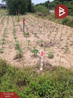 ขายที่ดิน เนื้อที่ 17 ไร่ 1 งาน 40 ตร.วา บ้านค่าย ระยอง-202511201001571763607717726.jpg