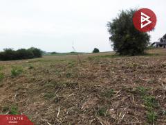 ขายที่ดิน เนื้อที่ 17 ไร่ 1 งาน 40 ตร.วา บ้านค่าย ระยอง-202511201001591763607719954.jpg