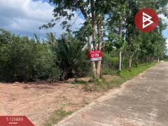 ขายที่ดินเปล่า-เนื้อที่-10-ไร่-ท่ายาง-