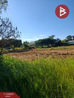 ขายที่ดินเปล่า เนื้อที่ 6 ไร่ 1 งาน 57 ตารางวา ขุนตาล เชียงราย-202511201138541763613534419.jpg