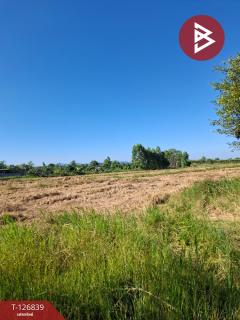 ขายที่ดินเปล่า เนื้อที่ 6 ไร่ 1 งาน 57 ตารางวา ขุนตาล เชียงราย-202511201138541763613534955.jpg