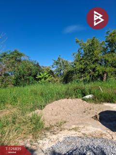 ขายที่ดินเปล่า เนื้อที่ 6 ไร่ 1 งาน 57 ตารางวา ขุนตาล เชียงราย-202511201138551763613535487.jpg