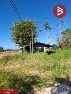 ขายที่ดินเปล่า เนื้อที่ 6 ไร่ 1 งาน 57 ตารางวา ขุนตาล เชียงราย-202511201138561763613536024.jpg