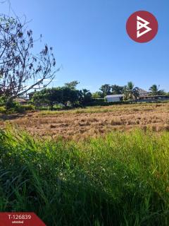 ขายที่ดินเปล่า เนื้อที่ 6 ไร่ 1 งาน 57 ตารางวา ขุนตาล เชียงราย-202511201138571763613537107.jpg