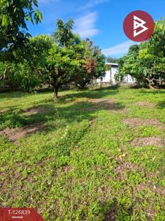 ขายที่ดินเปล่า เนื้อที่ 6 ไร่ 1 งาน 57 ตารางวา ขุนตาล เชียงราย-202511201138571763613537643.jpg